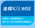 金蝶K/3 WISE
